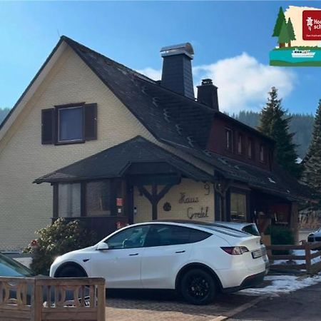 Am Sommerberg - Greschuk Apartments Feldberg  Eksteriør billede