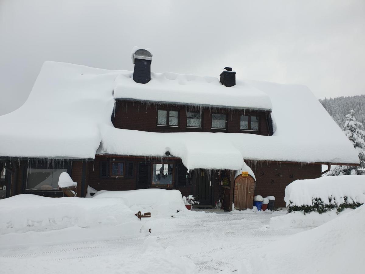 Am Sommerberg - Greschuk Apartments Feldberg  Eksteriør billede