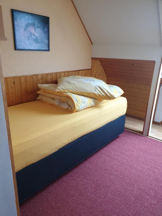 Am Sommerberg - Greschuk Apartments Feldberg  Eksteriør billede