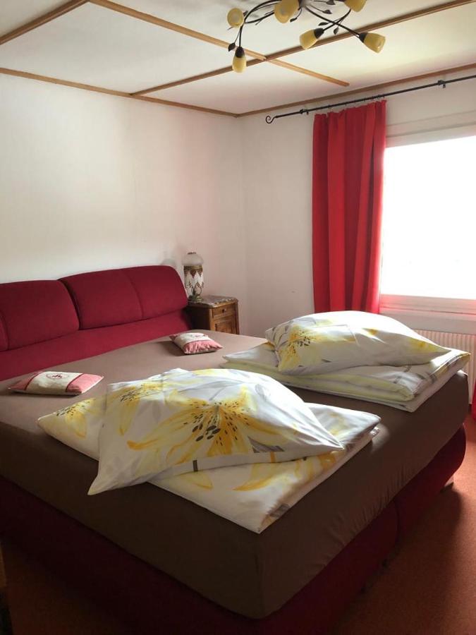 Am Sommerberg - Greschuk Apartments Feldberg  Eksteriør billede