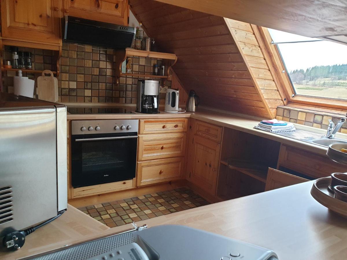 Am Sommerberg - Greschuk Apartments Feldberg  Eksteriør billede