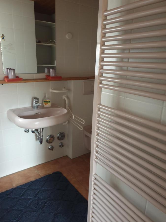 Am Sommerberg - Greschuk Apartments Feldberg  Eksteriør billede