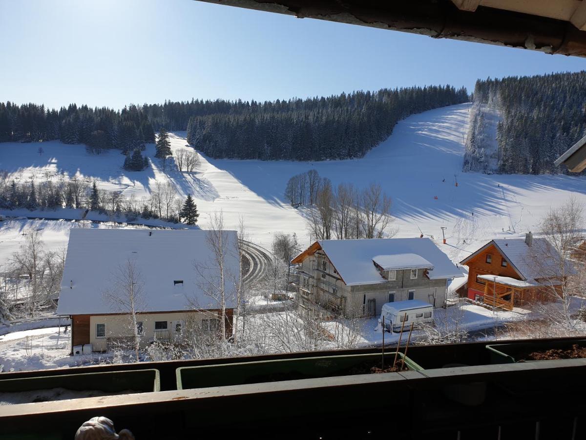 Am Sommerberg - Greschuk Apartments Feldberg  Eksteriør billede