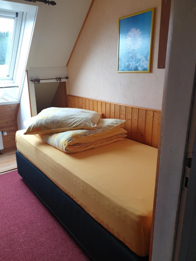 Am Sommerberg - Greschuk Apartments Feldberg  Eksteriør billede