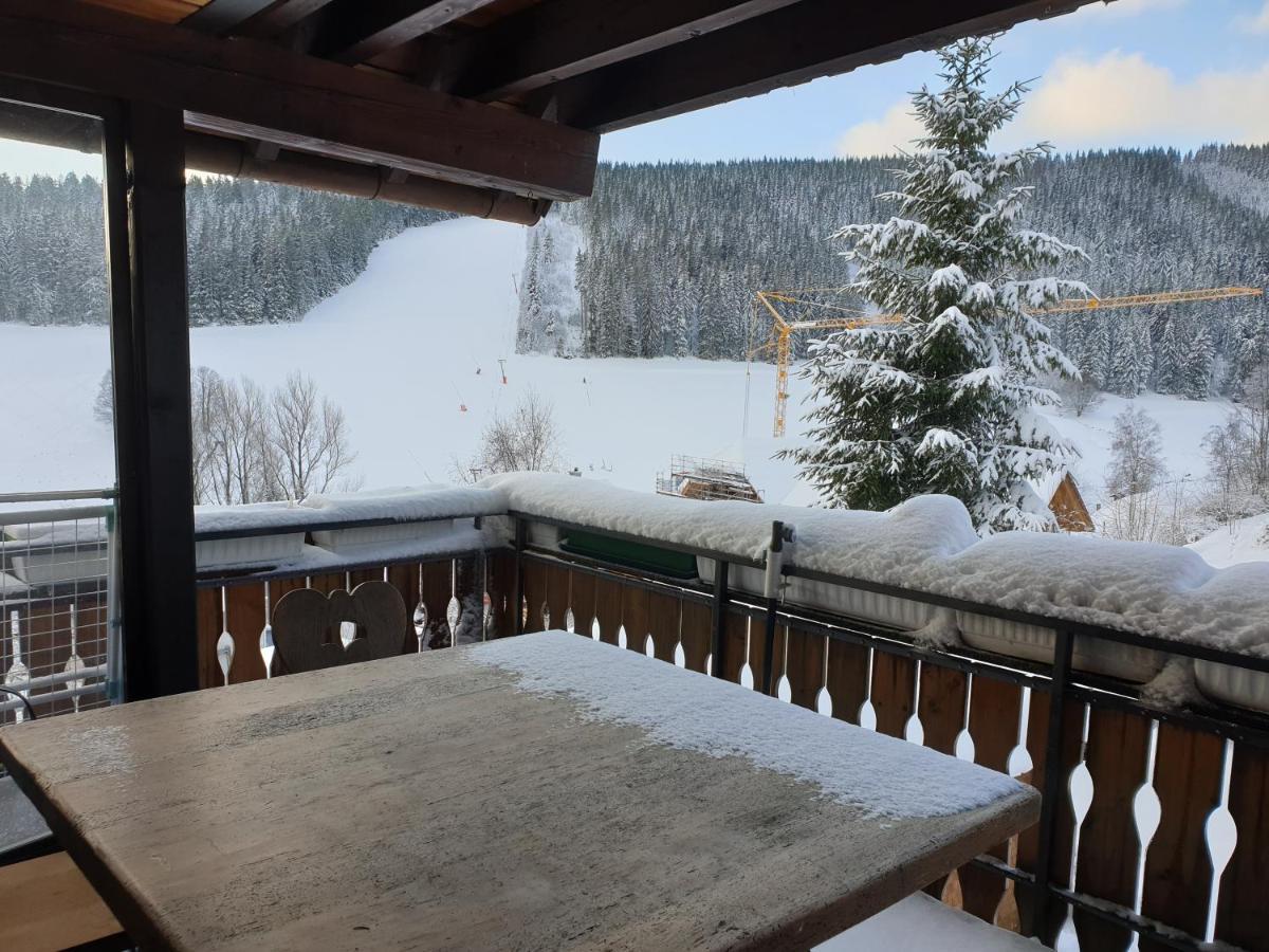 Am Sommerberg - Greschuk Apartments Feldberg  Eksteriør billede
