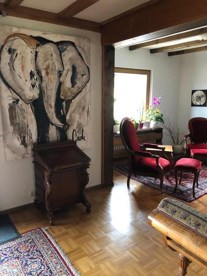 Am Sommerberg - Greschuk Apartments Feldberg  Eksteriør billede