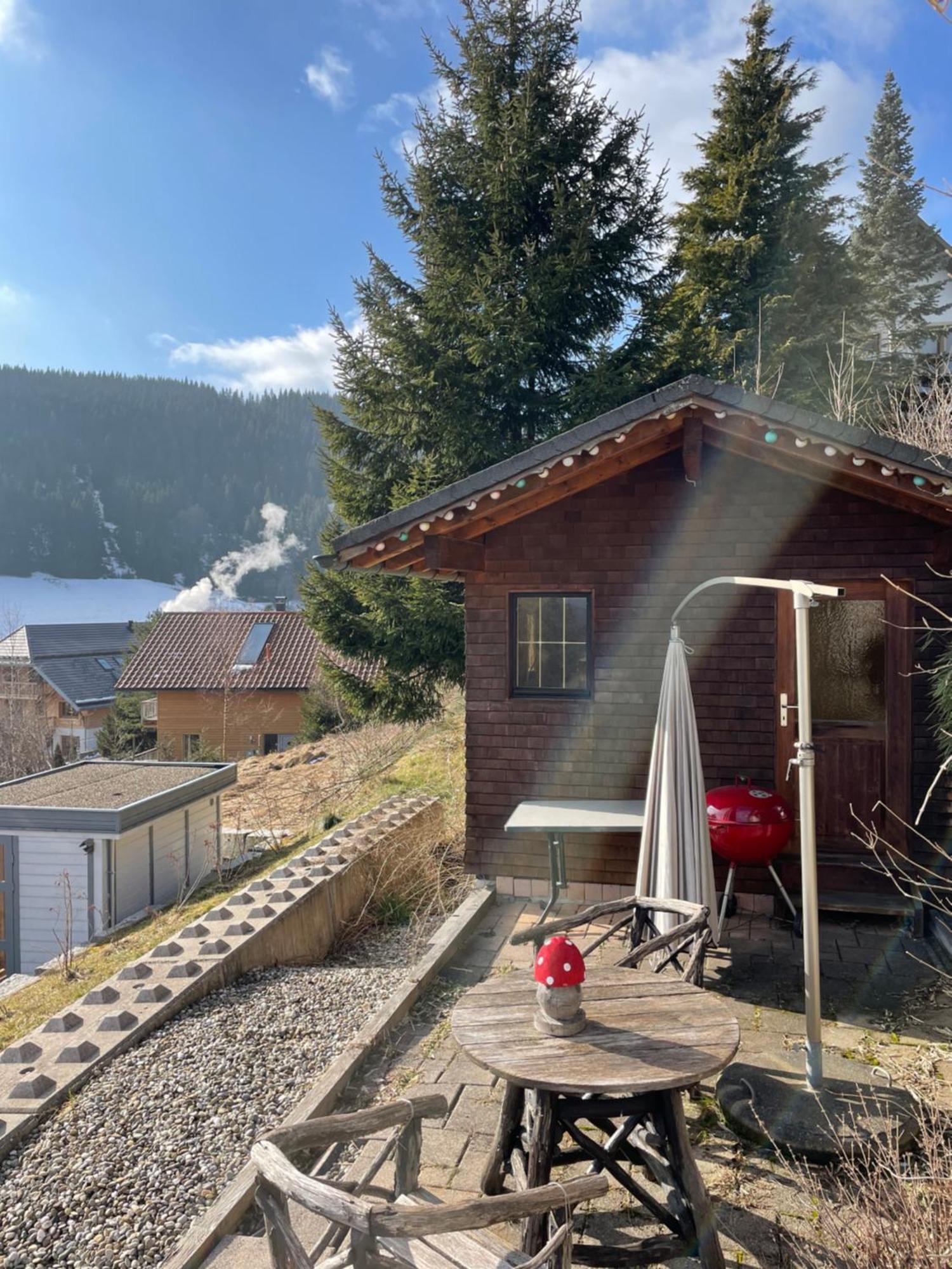 Am Sommerberg - Greschuk Apartments Feldberg  Eksteriør billede